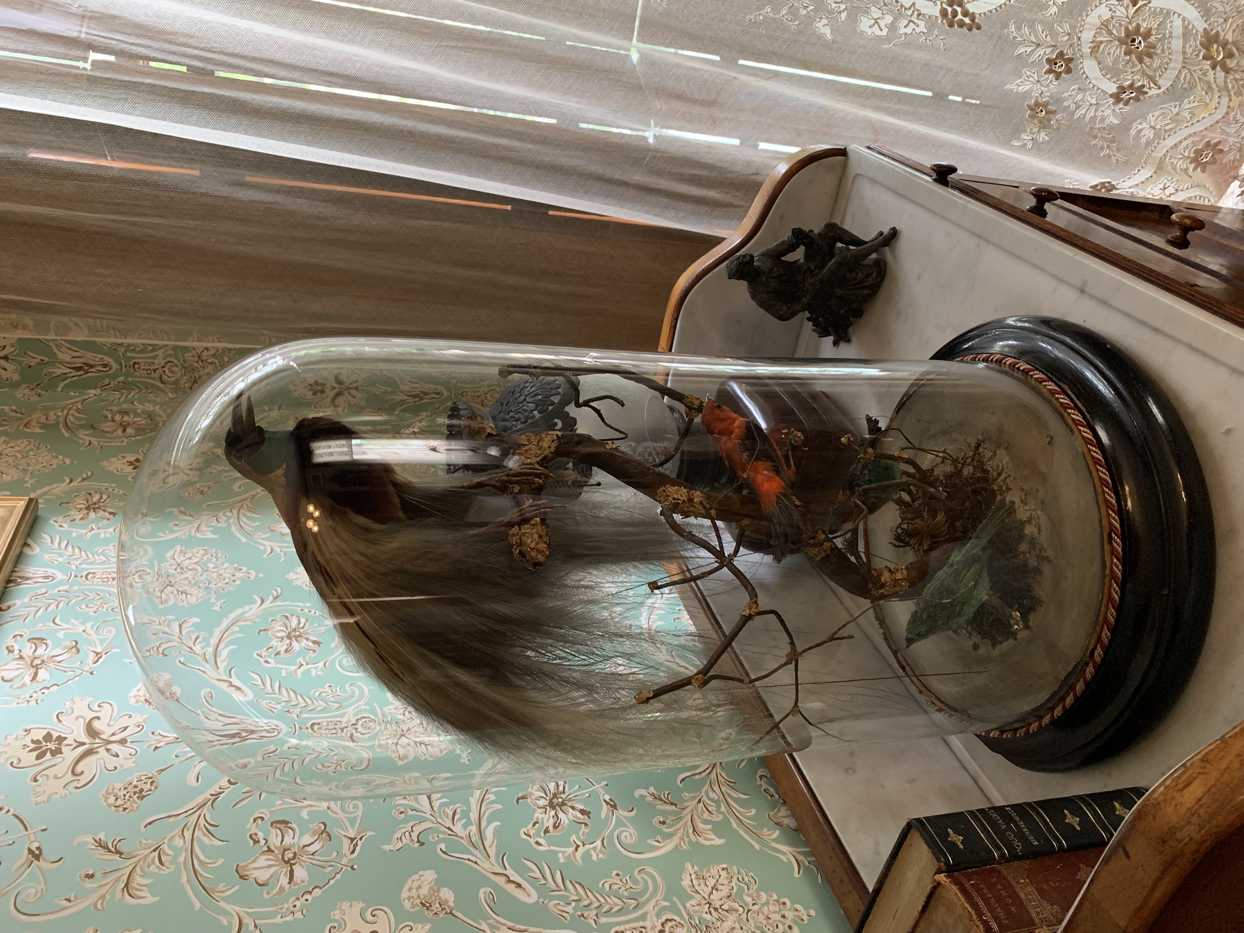 ./2022/06 - St Louis/06 - Day 6/20220526-13222334.JPG